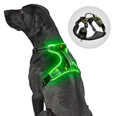 BiPawTi light-up dog harness front view with glow for night visibility.