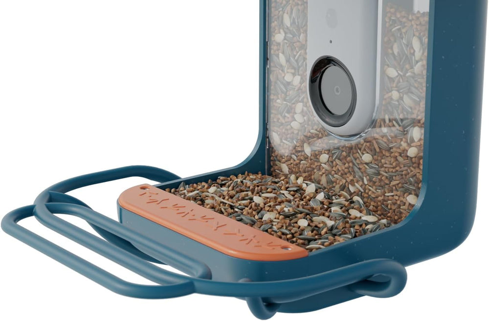 Bird Buddy blue perch extender on a feeder with extra space for larger birds