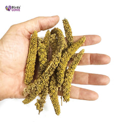 Birds LOVE Millet Tips & Tails foraging enrichment engages birds with natural foraging behavior