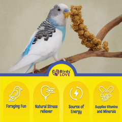 Birds LOVE Millet Tips & Tails provides vitamins and minerals for daily vitality