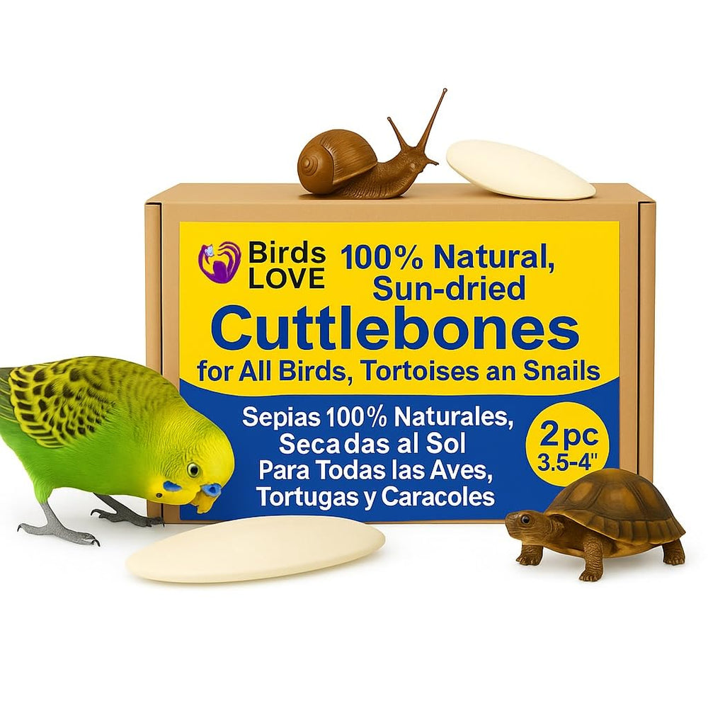 Birds LOVE natural cuttlebone pack holder for easy cage mounting