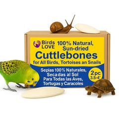 Birds LOVE natural cuttlebone pack holder for easy cage mounting