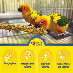 Birds LOVE spray millet easy-storage-bag demonstrates convenient freshness