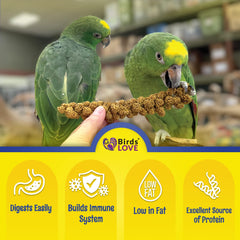 Birds LOVE spray millet edible-tops-only close-up shows crisp edible tops