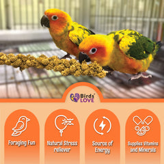 Birds LOVE spray millet USA-grown quality for trusted nutrition