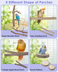 Bissap Y-shaped apple wood perch offers varied grip for movement play
