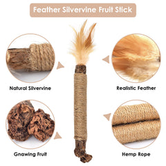Bissap silvervine chew stick teething-dental-care demonstrates tooth-cleaning potential