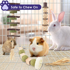 Bissap Timoty hay balls provide tasty enrichment and digestible roughage.