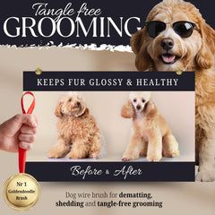 Bixy Pixy dog slicker brush large protective pins closeup for safe brushing.