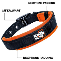 Black Rhino collar showcases durable hardware built for energetic dogs.