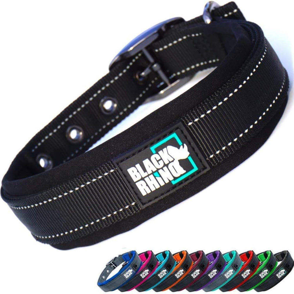 Black Rhino dog collar with adjustable fit for medium dogs during daily walks.