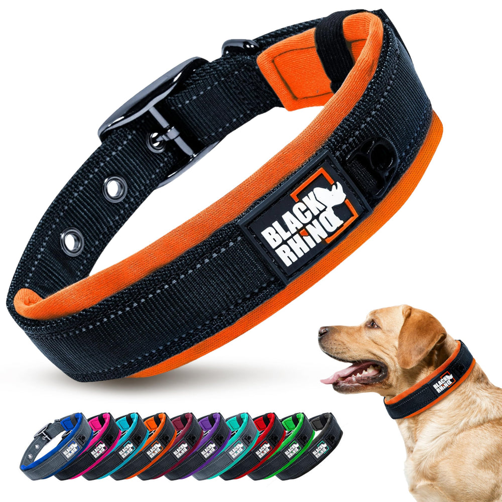 Black Rhino medium orange-front-view dog collar with reflective stitching for safety.