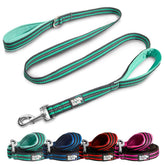 Black Rhino heavy-duty leash extended to 5 ft for versatile control on walks