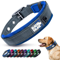 Black Rhino Reflective Dog Collar large blue-grey close-up showing soft neoprene padding for comfort