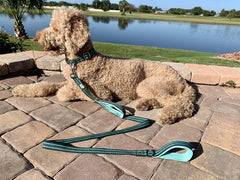 Black Rhino weather-resistant leash demonstrates durable materials for year-round outdoor use