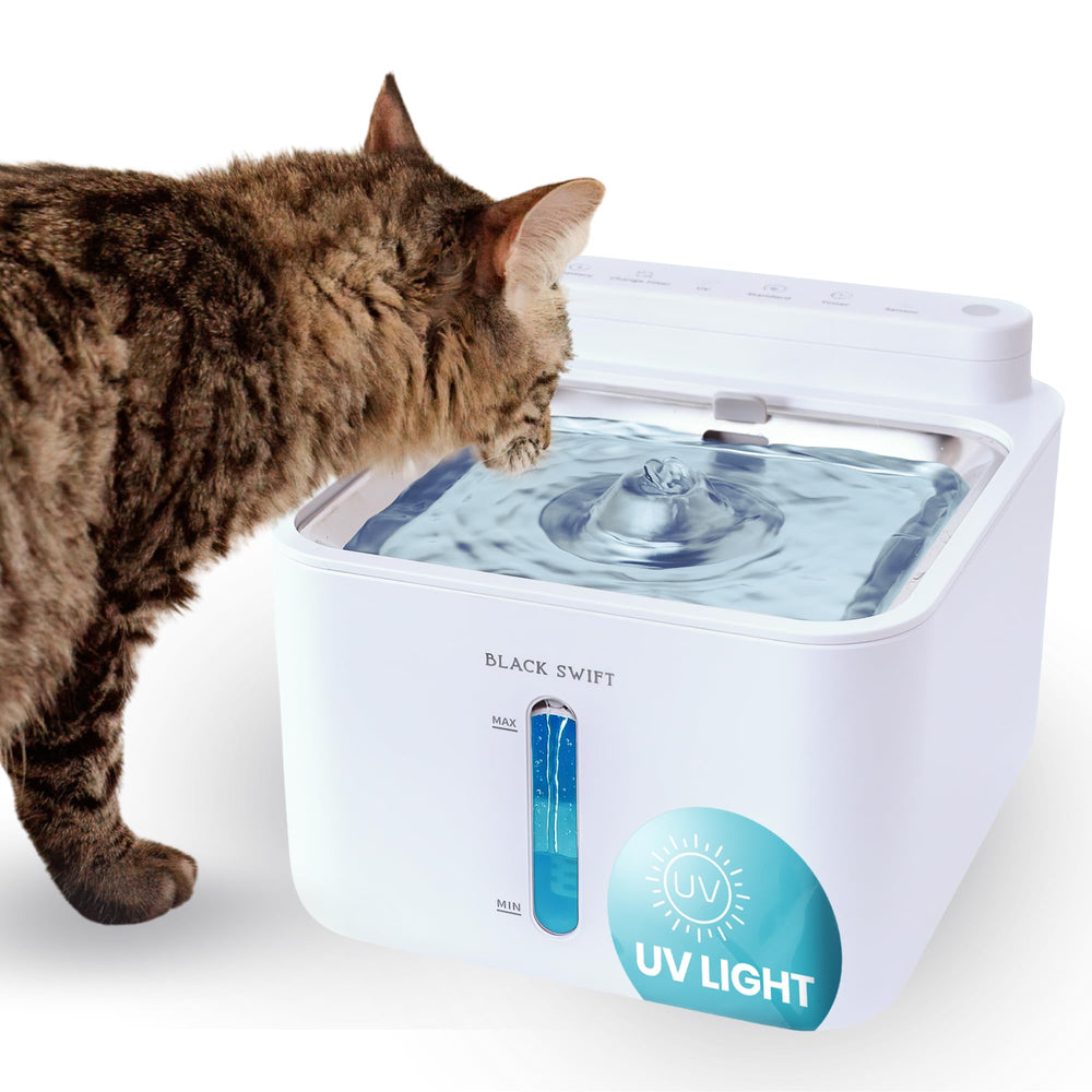 BLACK SWIFT UV-C fountain top shows durable stainless steel lid for hygienic use