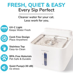 BLACK SWIFT UV-C fountain water flow demonstrates continuous hydration for pets