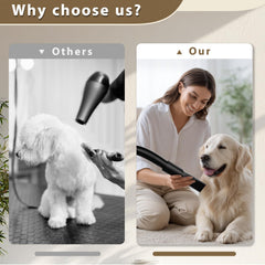 Blanlody dog blower provides low-noise operation for calmer pets.