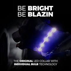 Blazin LED dog collar charging on USB port for convenient recharge.