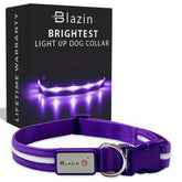 Blazin Light Up Dog Collar front view shows near 360 degree visibility for night safety.