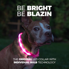 Blazin light up dog collar side view highlighting durable nylon and comfortable fit.