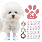 Blazury Infini disposable dog boots pack-20 keeping paws clean during walks.