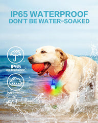 BLBS dog collar light four-modes demonstrates emergency red flash for high-visibility signaling