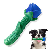 Blingbrione dog chew toy with rose design for engaging play and social bonding.