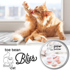 The Blissful Cat Paw Butter applying on a paw for easy pampering