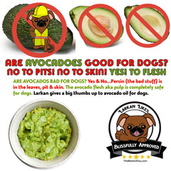 The Blissful Dog Nose Butter is easy to apply with a quick dab.