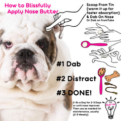 The Blissful Dog Nose Butter handcrafted in USA for gentle nose care.