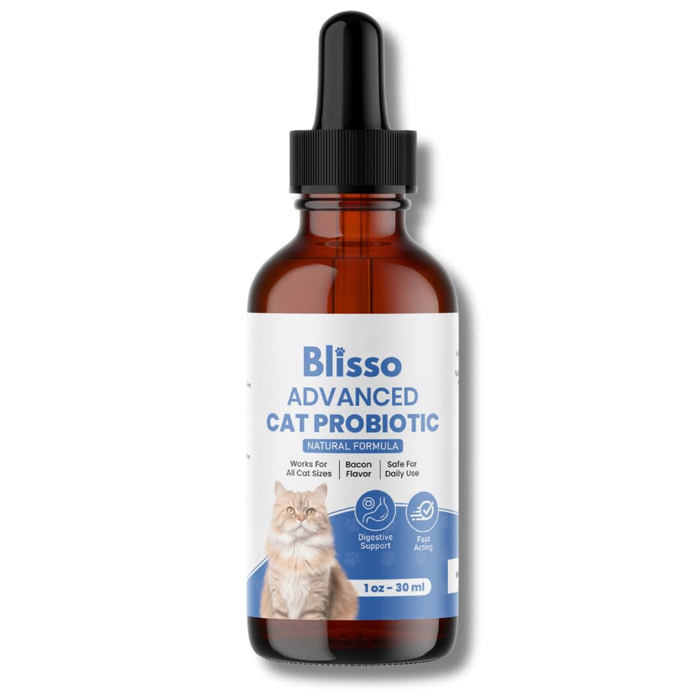 Blisso Pet Advanced Cat Probiotic Drops bottle for convenient digestive support