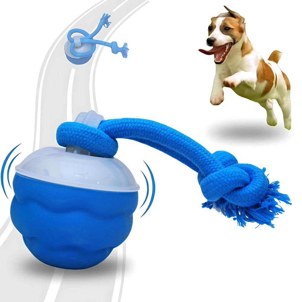 Bloompaw 2026 interactive dog ball front view for engaging play