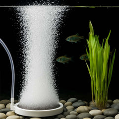 BLOTFISH bubbler showing dense bubbles for efficient aeration and calm operation