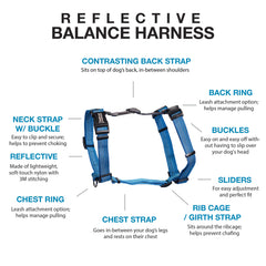 Blue-9 Balance Harness 6-point adjustment for secure, comfortable fit