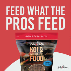 Blue Ridge Koi Fish Food goldfish feeding scene highlights balanced nutrients.