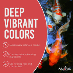 Blue Ridge Koi Food spirulina-canthaxanthin for color enhancement.