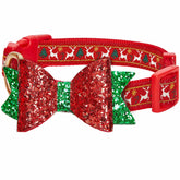 Blueberry Pet Christmas collar with bow on a medium dog for festive photos.