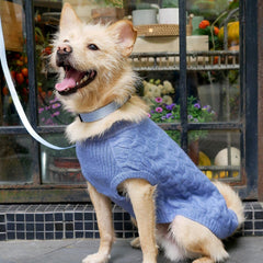 Blueberry Pet Classic Knit Pullover Heather Blue provides year-round comfort.