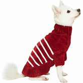 Blueberry Pet cozy striped burgundy sweater—front view showing festive warmth for dogs.