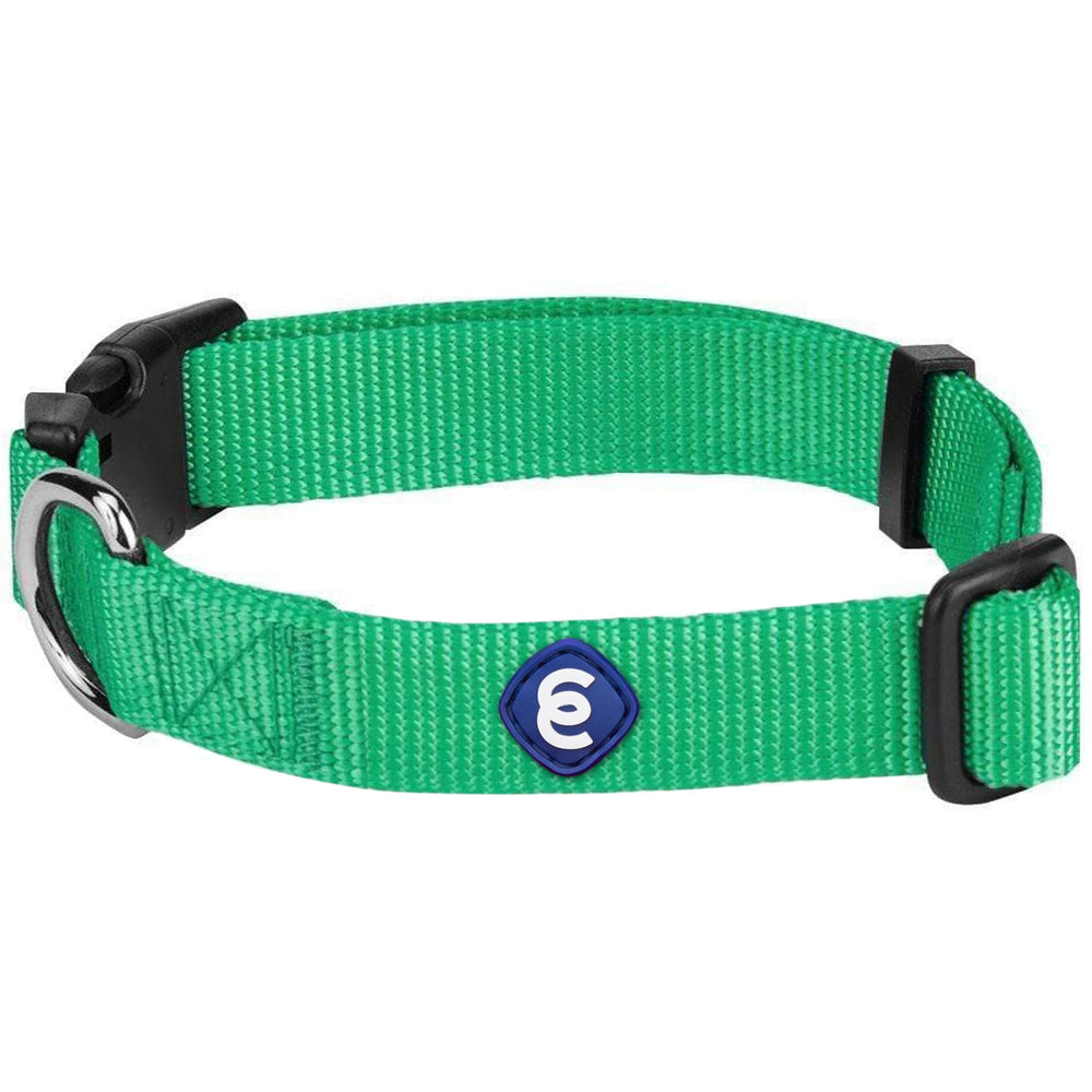 Blueberry Pet Essentials collar para perro mediano en esmeralda, ajuste cómodo