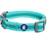 Blueberry Pet Essentials large dog collar shows 18-26 inch neck fit for daily walks.