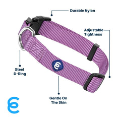 Blueberry Pet Essentials durable nylon collar for long-lasting daily adventures.