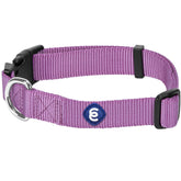 Blueberry Pet Essentials purple front view collar, stylish daily wear for dogs.