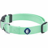Blueberry Pet Essentials small dog collar pastel green with durable nylon for everyday wear.
