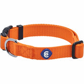 Blueberry Pet Essentials Small collar in fall Orange Vermilion boosts visibility on autumn strolls.
