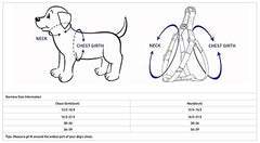 Blueberry Pet Essentials step-in harness small emerald vest close-up buckle for secure, quick fittings.