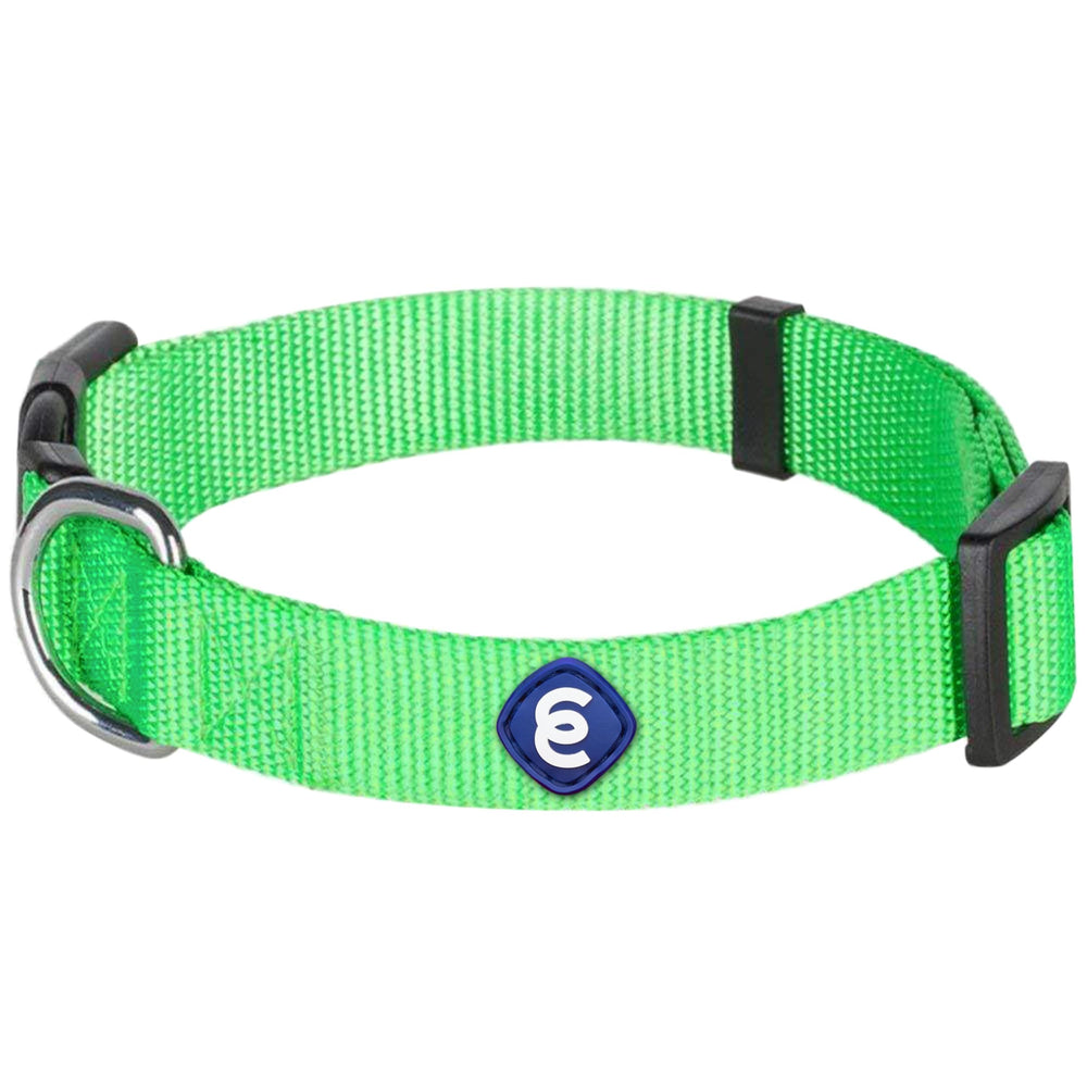 Blueberry Pet Essentials X-Small Neon Green collar close-up highlighting vibrant color and secure fit