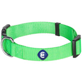 Blueberry Pet Essentials X-Small Neon Green collar close-up highlighting vibrant color and secure fit