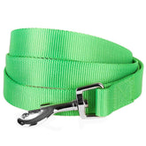 Blueberry Pet neon green dog leash small 5ft with high visibility for daily safe strolls.